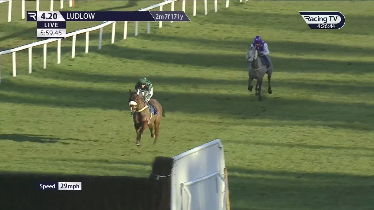 Minella Blueway wins the 60th running of the Forbra Gold Cup 🏆 A third success in the race for @EWilliamsRacing with Adam Wedge in the saddle 🟢⚪️ FLOWFIT | Ludlow Racecourse