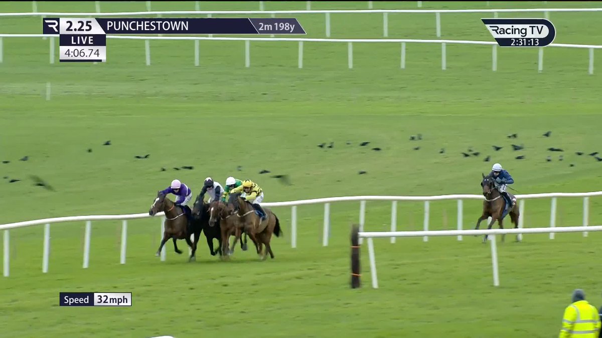 🟡⚫️ Vibes are that SALVATOR MUNDI has been impressing at home recently... 👍 Wonder if he could have a ton of improvement in him after a poor preparation before the Moscow Flyer.