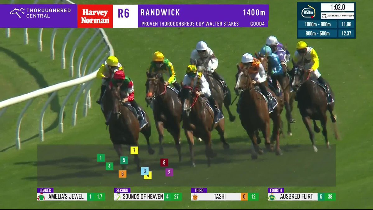 Amelia's Jewel is back in the winner's circle after leading all the way in the G2 Guy Walter Stakes! 🎉 James McDonald | @ANeashamRacing | Australian Turf Club