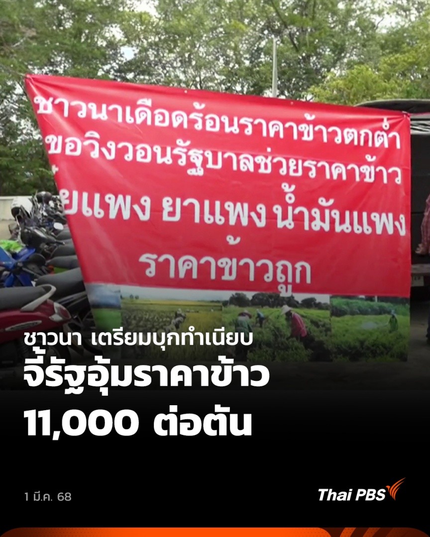 ชาวนาหลายจังหวัดเตรียมออกมาประท้วงหน้าทำเนียบรัฐบาลอีกครั้ง ในวันที่ 3-4 มี.ค. 68 เพื่อชุมนุมปราศรัยใหญ่ เสนอรัฐแก้ปัญหาให้ตรงจุด อุ้มราคาข้าว 11,000 บาท/ตัน . 🎬 ชม #ชั่วโมงข่าวเสาร์อาทิตย์ ได้ทาง #ThaiPBS #ข่าวไทยพีบีเอส #ข่าวที่คุณวางใจ