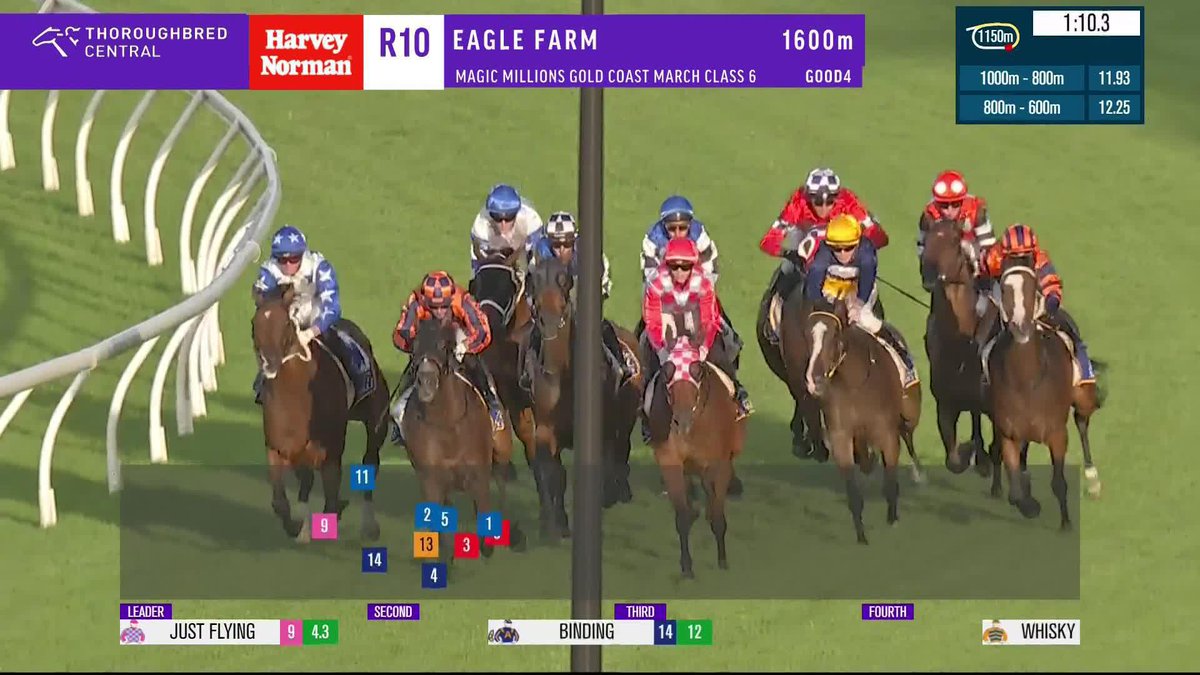 ๐ It's all about Rising Pacific in the last at Eagle Farm! Andrew Mallyon | Gollan Racing | Brisbane Racing Club