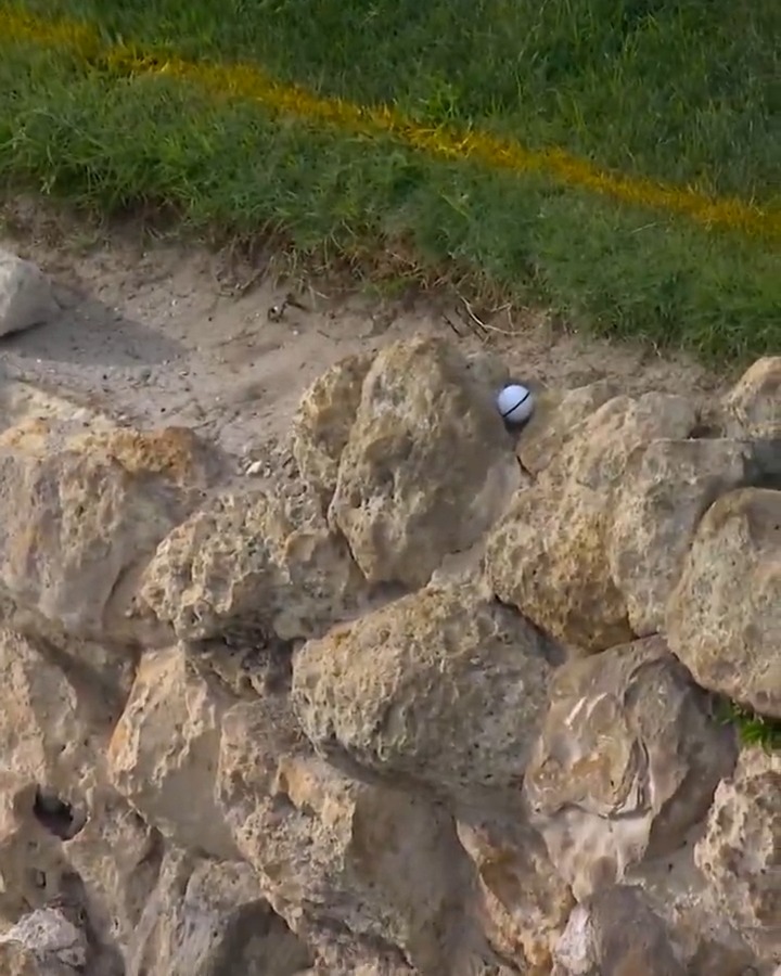 The Bear Trap strikes! 😬 Taylor Montgomery stood on the tee box at No. 15 with a one shot lead @The_Cognizant. He left the hole three back. 📺 NBC