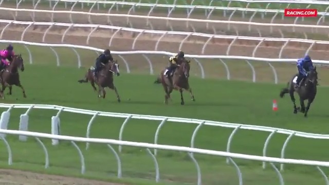 She's back! 💙💜 Pride Of Jenni returns to the jumpouts with a strong hit-out at Cranbourne 👊🏻 Ciaron Maher Racing