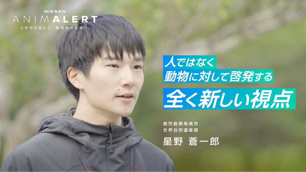 【 #ANIMALERT 🐰】奄美市役所インタビュー🎙️ ／ 人ではなく、動物に対して啓発をする 全く新しい視点での取り組みだと思います。 ＼ 実証実験の舞台である奄美市のご担当 星野さんにアマミノクロウサギのロードキルを取り巻く課題についてコメントを頂きました。 #世界野生生物の日