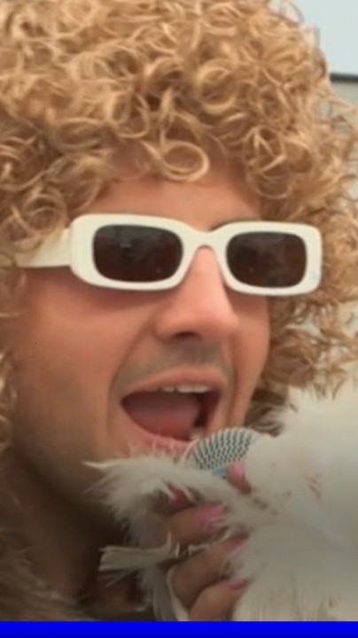 "Vous voulez un cri?" ➡ "Michel Pollamouette" remporte le championnat du monde 2025 de cri de la mouette au carnaval de Dunkerque
