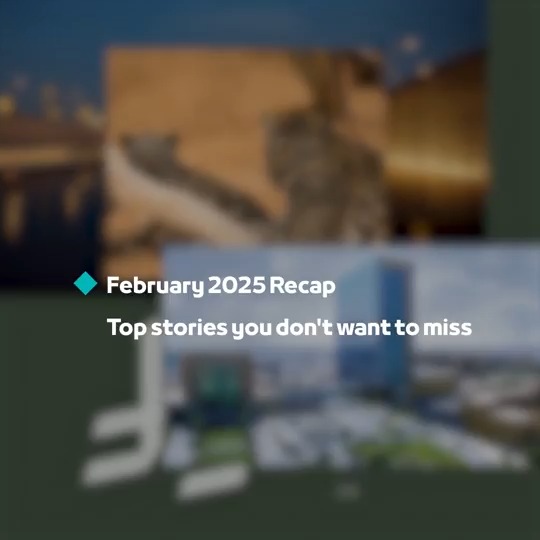 Saudi Arabia advanced its global standing – introducing the Saudi Riyal currency symbol, reaching 600 regional HQs, opening the first phase of Sports Boulevard, and more. Here's what happened this February under #SaudiVision2030.