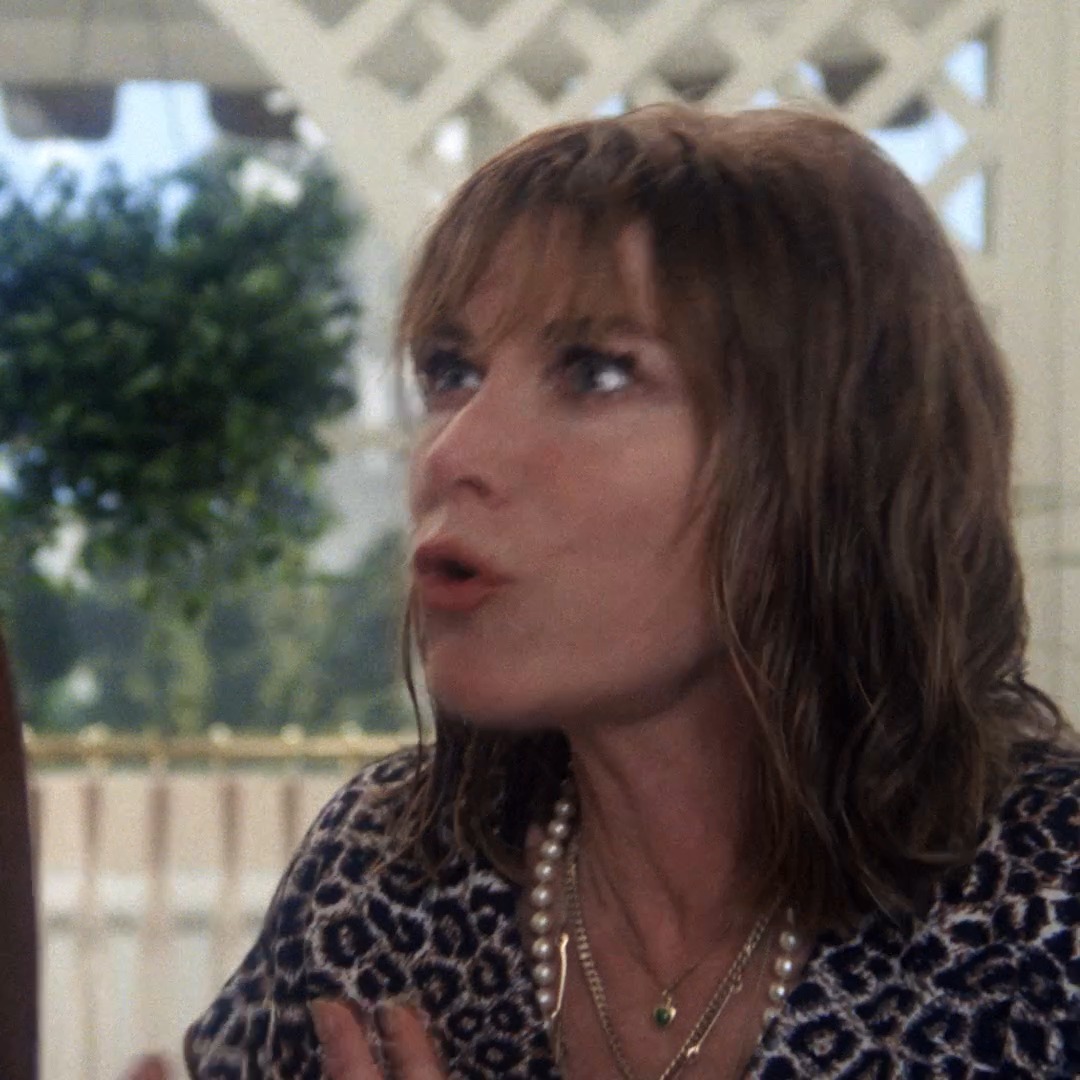 Evening viewing recommendation? On Criterion Channel, watch Hal Ashby's SHAMPOO (1975)! Starring Warren Beatty, Goldie Hawn, Julie Christie, and Lee Grant (in an Oscar-winning performance), it's a both an an essential seventies farce and a sharp look back at the sexual politics and self-absorption of the preceding decade.