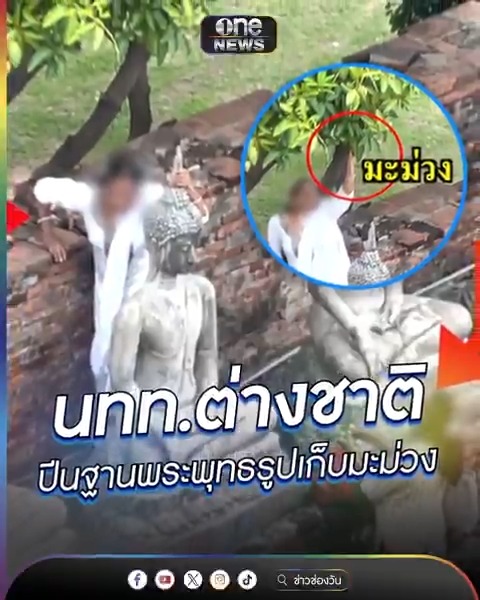 เตือนไม่เหมาะสม! นทท.ต่างชาติ ปีนฐานพระพุทธรูปเก็บมะม่วง #สำนักข่าววันนิวส์