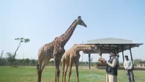 Inaugurated Vantara, a unique wildlife conservation, rescue and rehabilitation initiative, which provides a safe haven for animals while promoting ecological sustainability and wildlife welfare. I commend Anant Ambani and his entire team for this very compassionate effort.