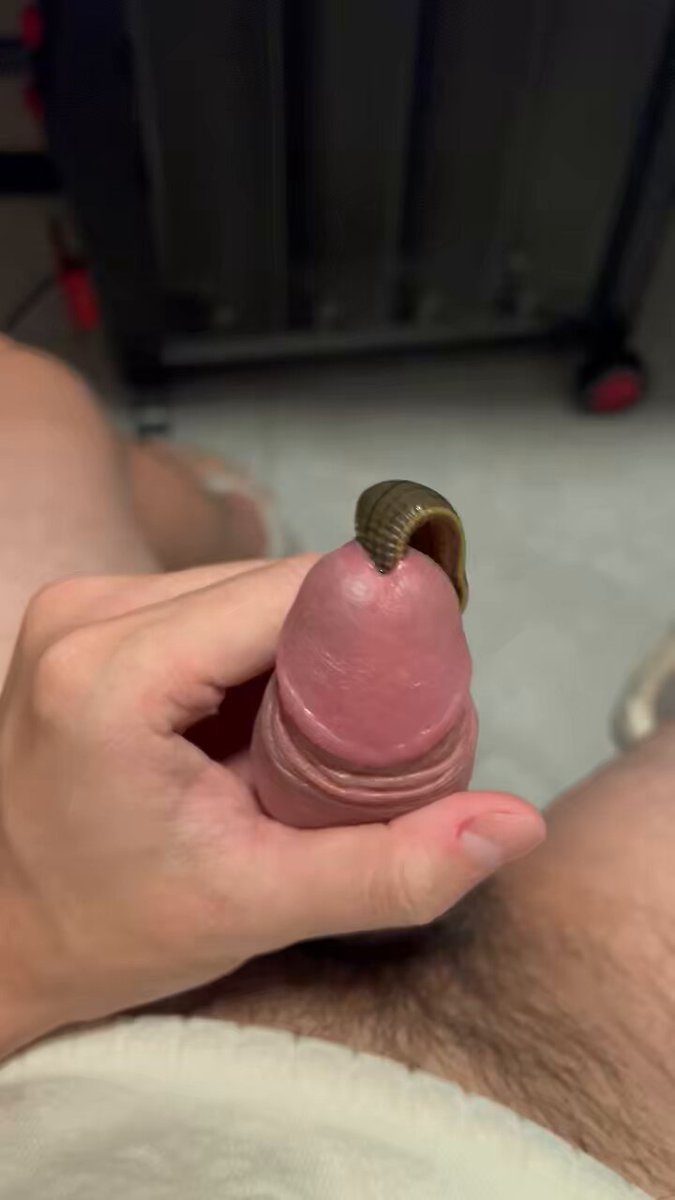 太久没有被水蛭塞满了，很敏感，新的这一条有一点咬人。