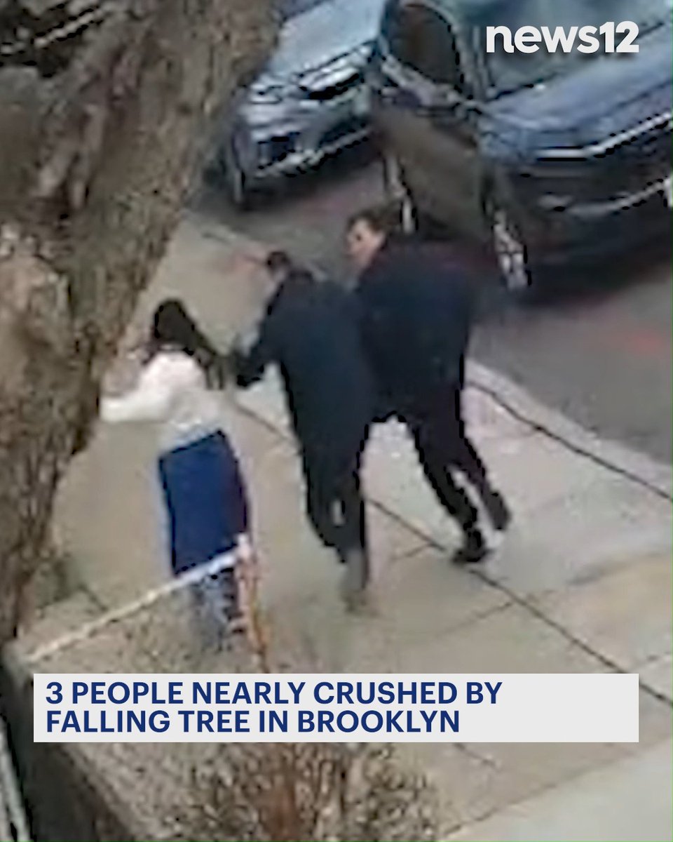 CLOSE CALL! 3 people almost crushed by falling tree on Brooklyn sidewalk