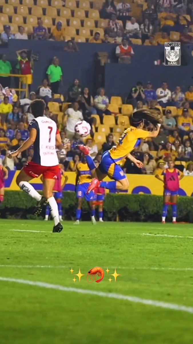 Con ustedes: "El camaroncín" 🦐✨ Autora: Lizbeth "La Maga" Ovalle ARTE. 🖼️ (vía Club Tigres Femenil 🐯)