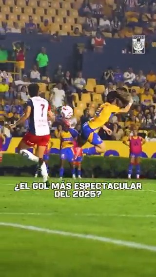 SEÑORAS, SEÑORES: ¿TENDREMOS PUSKAS DESDE MÉXICO? 🔥 Lizbeth Ovalle, de Tigres, marcó ante las Chivas de Guadalajara uno de los goles más espectaculares del año 📹 Club Tigres Femenil 🐯