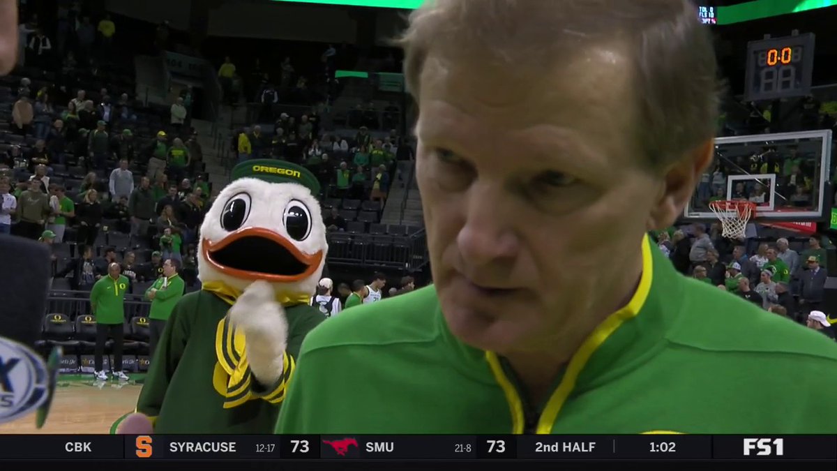 Hey Puddles, we see you 😂 The Duck