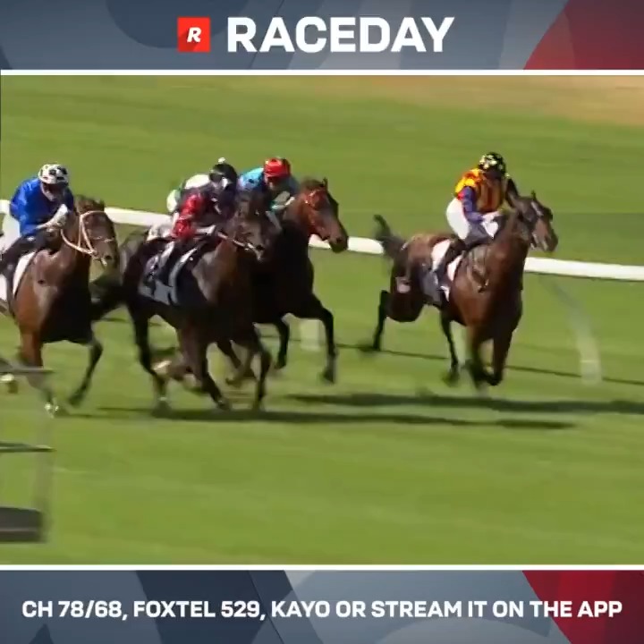 🇯🇵 日本からの移籍馬、モズマーカッシンが3連勝 🙌 🇦🇺 サンダウン競馬場、BM64の1800mハンデ戦。シルバーステート産駒、モズマーカッシンが逃げ粘る馬をしぶとく追い詰めて3連勝。 日本時代は13戦未勝利でしたが、豪州では5戦3勝と好成績を残しています。 #競馬 #海外競馬