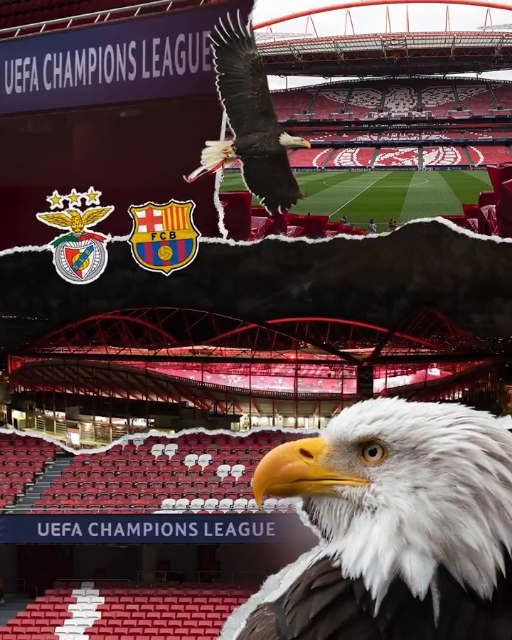 🌟 Noite de 𝑼𝑬𝑭𝑨 𝑪𝒉𝒂𝒎𝒑𝒊𝒐𝒏𝒔 𝑳𝒆𝒂𝒈𝒖𝒆! ⚽ #UCL • #SLBFCB