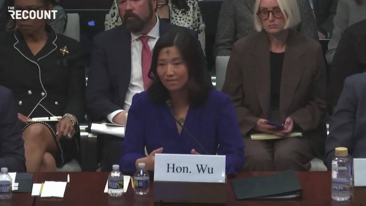 Boston Mayor Michelle Wu (D) argues for legislation to make cities safer during a House "sanctuary cities" hearing: "You could pass...comprehensive immigration law. ... If you wanted to make us safe, pass gun reforms. Stop cutting Medicaid. ... Stop cutting funds for veterans."