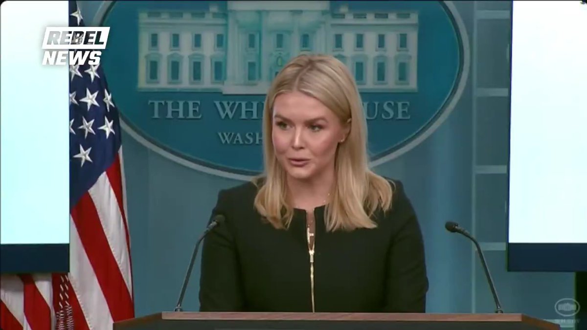 White House Press Sec. Karoline Leavitt gives an update on "Governor Trudeau" and President Trump's call about tariffs and border security between Canada and the US. Canada and Mexico must face "consequences" for fentanyl trafficking, she adds.