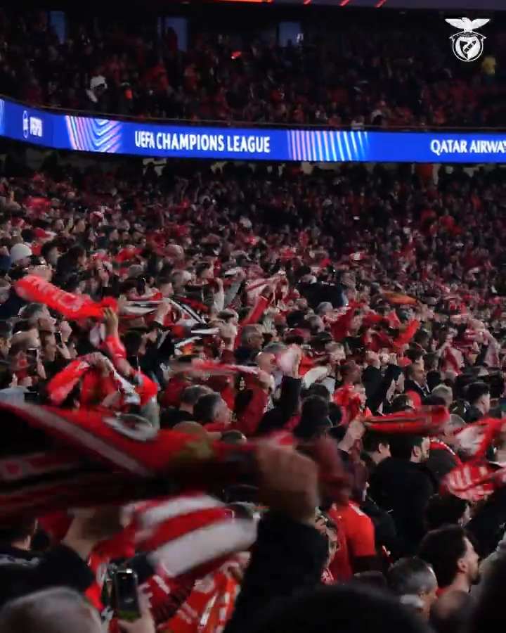 ๐๐๐ป๐๐ผ๐ atรฉ ao fim ๐ฆ
#UCL
