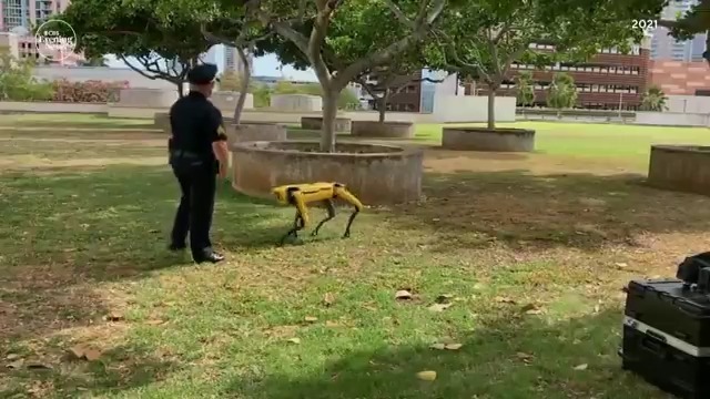 During the pandemic, the Honolulu Police Department spent $150,000 on a robot dog that provided contactless temperature checks and telemedicine for the homeless. It's now been three years since Spot went for a walk, leaving officials scrambling to teach an old dog new tricks.