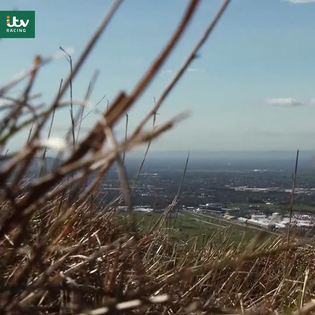 Why is the Cheltenham Festival so special❓ Let Brough Scott tell you exactly why 🔊