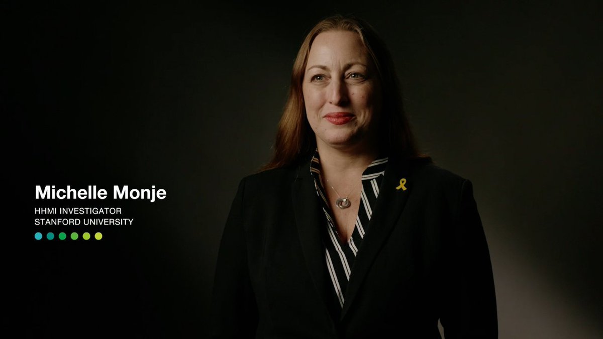 “I realized we just didn’t know enough fundamental biology to offer therapies for some of the hardest-to-treat-diseases,” says HHMI Investigator Michelle Monje 🟦, awardee of The The Brain Prize 2025. At Stanford University, she's investigating what drives brain tumors, particularly in children.