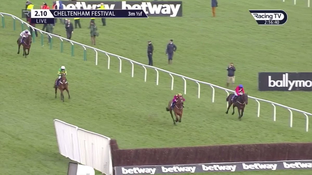 😳 The Greatest Robbery I've seen at Cheltenham. CHAMP comes from the clouds to miraculously beat Minella Indo and Allaho under a storming Barry Geraghty ride in the RSA Chase! #CheltenhamFestival 🏆