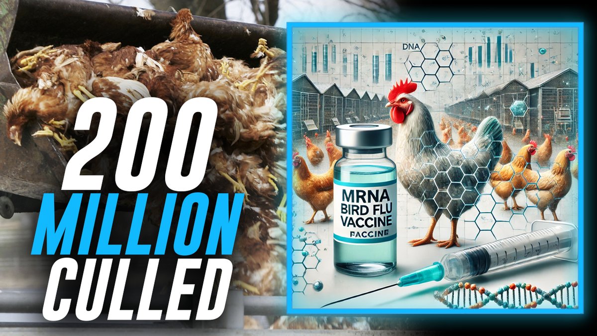 Over 200 Million Chickens Killed Under Biden Admin's Watch & Big Pharma’s mRNA Bird Flu Shot Would Make Disease Worse While Poisoning Food Supply SOLUTION: Trump's USDA Head Encourages Americans To Raise Chickens Themselves To Combat Skyrocketing Egg Costs » WATCH/SHARE THE LIVE X STREAM HERE: