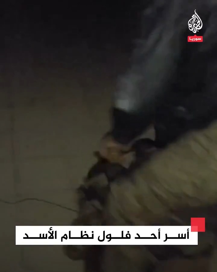 #فيديو متداول يظهر لحظة أسر عناصر من الجيش السوري أحد فلول نظام الأسد في قرى ريف #اللاذقية