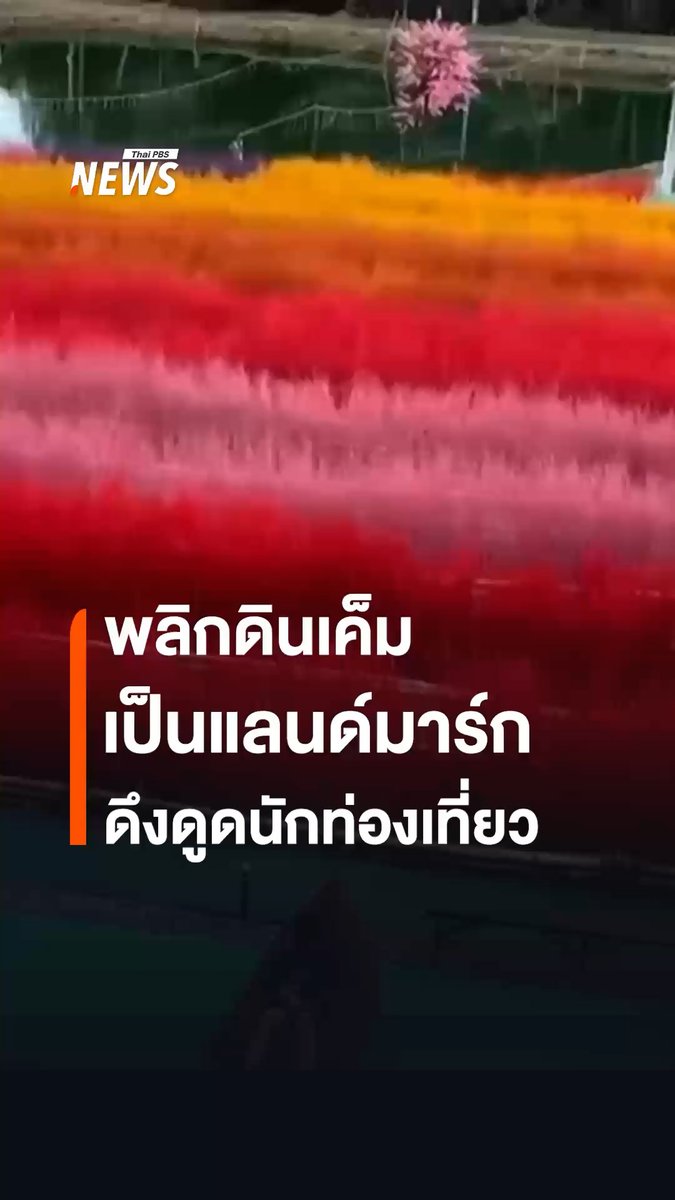 เพชรแท้ เหลือแดง นักศึกษาหนุ่มวัย 20 ปี อ.ปะเหลียน จ.ตรัง ใช้ความสร้างสรรค์ของกับไอเดียวัยรุ่นสร้างตัว พลิกฟื้นดินเค็มหน้าบ้านบนที่ดิน 17 ไร่ เนรมิตเป็นทุ่งหญ้าเทียม กลายเป็นมุมสุดชิค ดึงดูดนักท่องเที่ยว #ตรัง #ดินเค็ม #นากุ้ง #ท่องเที่ยวไทย #นักท่องเที่ยว #วัยรุ่นสร้างตัว #สถานที่ท่องเที่ยว #ข่าวที่คุณวางใจ #ThaiPBSnews #ThaiPBS