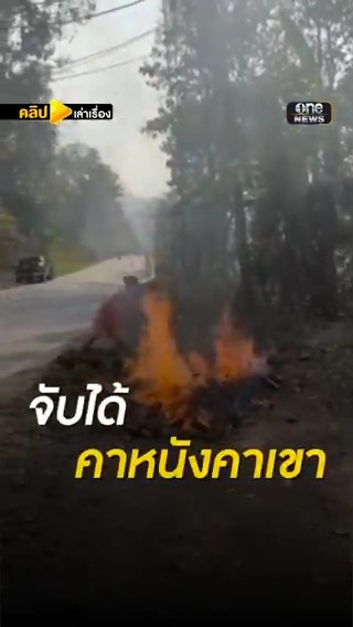 เผาป่าข้างถนน ถูกจับเลิ่กลั่กเลย #คลิปเล่าเรื่อง #เผาป่า #แม่ฮ่องสอน