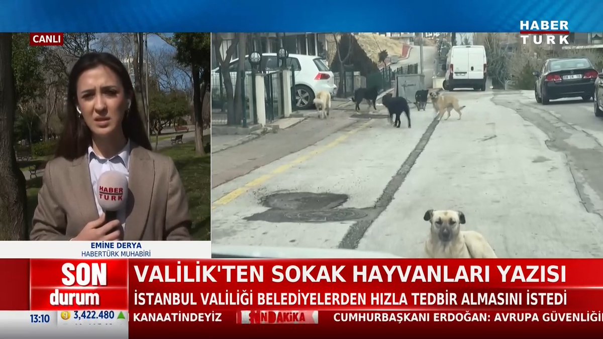 #SONDURUM - Valilik'ten sokak hayvanları yazısı İstanbul Valiliği, belediyelerden hızla tedbir almasını istedi.