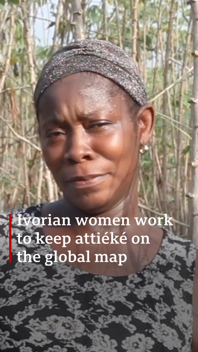 Attiéké generates an estimated 800 billion CFA ($1.27bn) for Ivory Coast, accounting for 1.5% of the country’s GDP, in an industry dominated and driven by women – most of them in villages. Unesco has now listed the staple as an ‘intangible cultural heritage.’