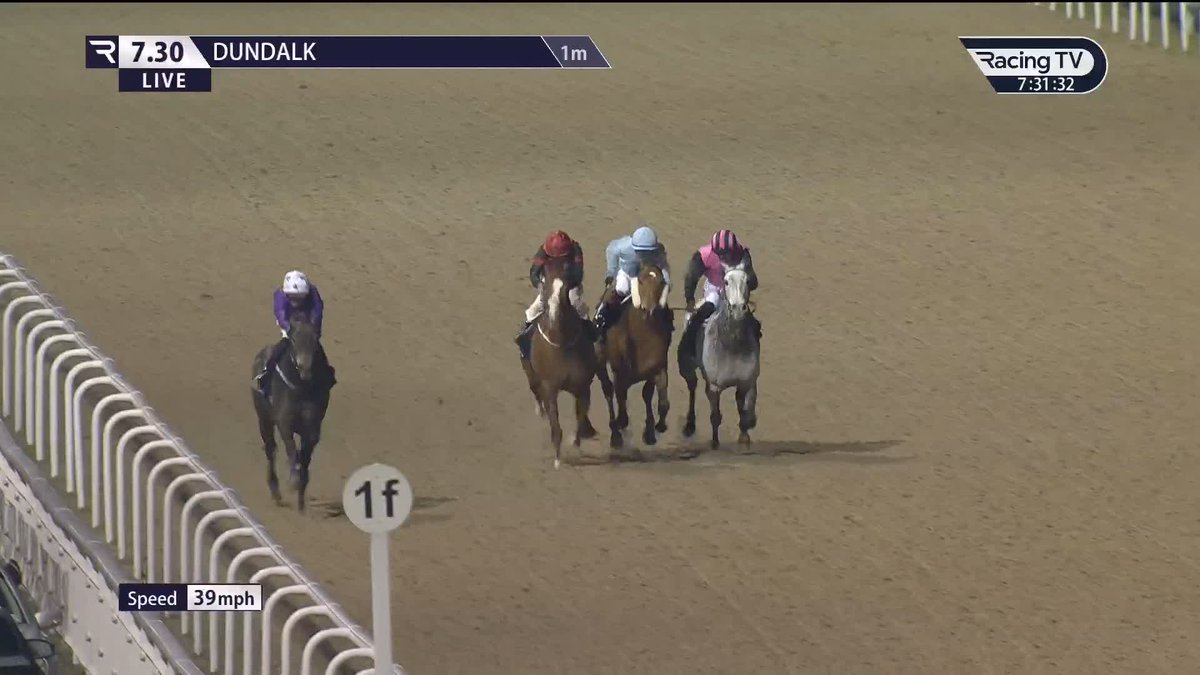 NO stamina doubts 👊 Royal Ascot winner Valiant Force makes light of the step up to a mile as he justifies short odds in style Dundalk Stadium. Amo Racing | Adrian Murray | David Egan