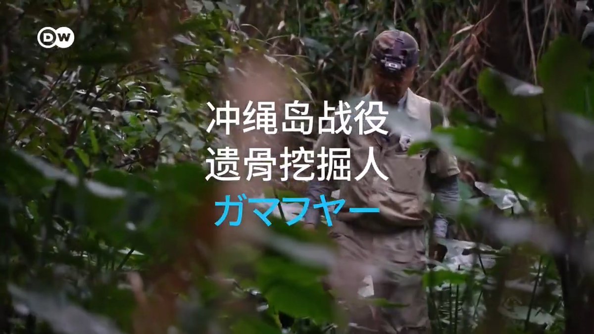 40多年来高松具志坚一直在冲绳丛林间的洞穴中寻找当年冲绳岛战役死难者的遗骨。历史学家说,80年前日本军队为了保护日本本岛而牺牲掉冲绳岛。在激烈的战斗中,日军利用冲绳平民作为人盾抗击美国人。高松具志坚说,这些遗骨是战争悲剧的无声见证,“纪念战争中死难者的最好方式就是永远不要再发动战争”。