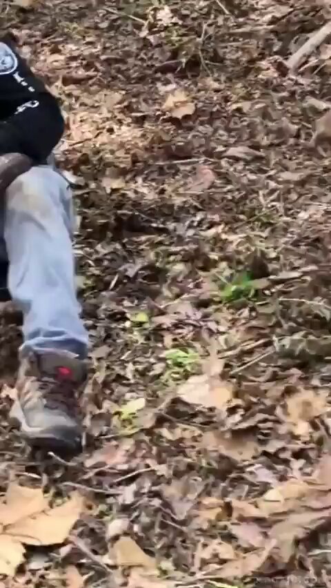 Trouser Snake