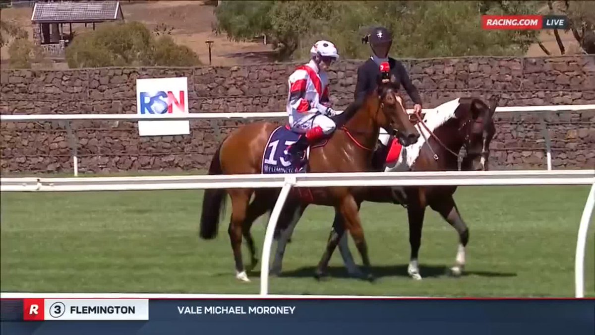 "He (Enver Jusufovic) said 'the owner is a bit challenging and a tough man, if you can get past him you'll be fine'... (he said) well I'm the owner." Craig Williams won the battle for the ride 🤣 Enver Jusufovic Racing