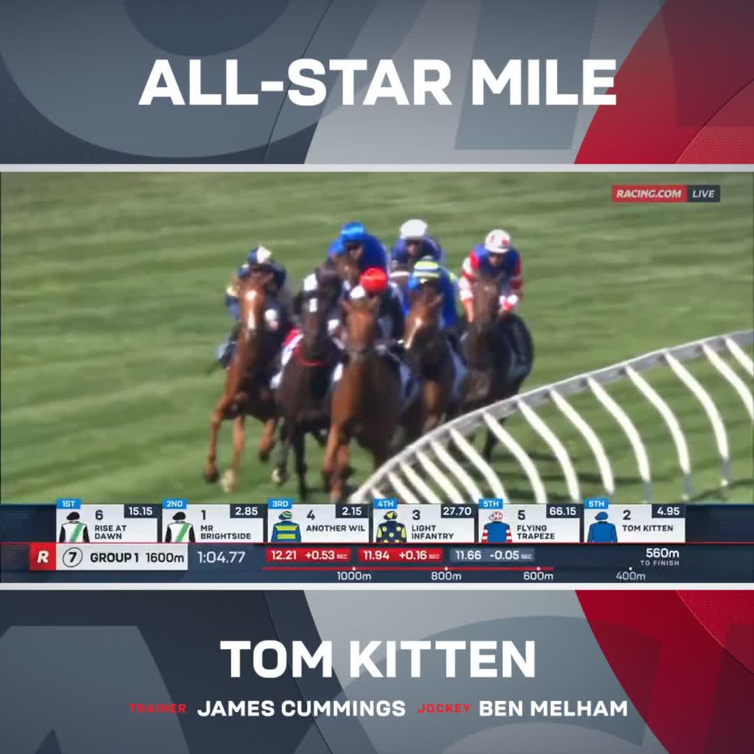 WHAT A RACE! ⭐️ Tom Kitten defeats Mr Brightside in a thrilling edition of All-Star Mile 7 😺 Godolphin Ben melham