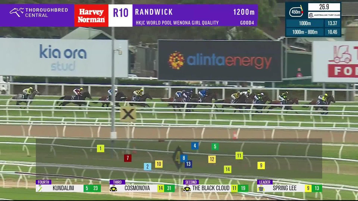 🤔 この馬……サイズ感デカくない? 🇦🇺 1200mのG3・ウェノナガールクオリティで重賞初勝利を挙げたゴドルフィンの4歳馬、コメモラティヴ。 出走時の馬体重は610kgから620kgに達する、大柄な馬体の牝馬です。牡馬ではなく牝馬です(重要) #競馬 #海外競馬 #Commemorative