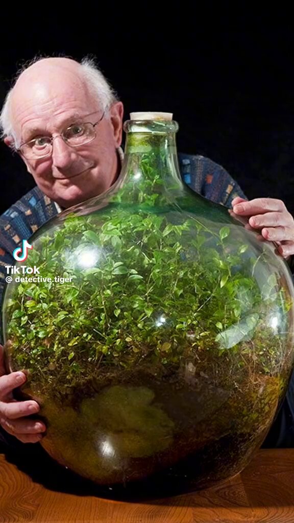 We also live in a closed and self-sufficient eco system. These plants haven't been watered in 52 years and continue to grow within the bottle. Just like the earth.🤔🤔