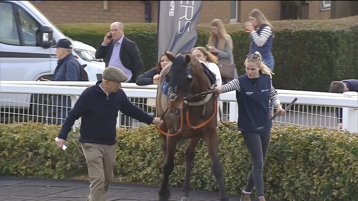 Some excellent reactions in the parade ring at Hereford Racecourse! Greatness Awaits is in safe hands at Alastair Ralph's yard! 😎