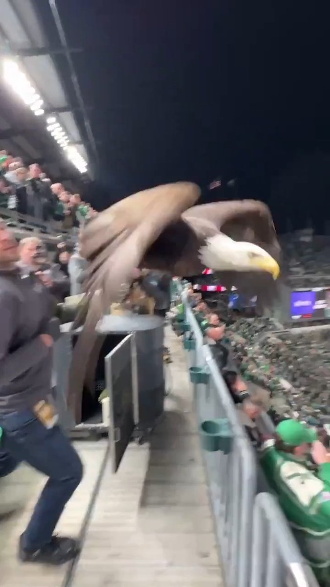 Every flight of everyone’s favorite pregame tradition 🦅