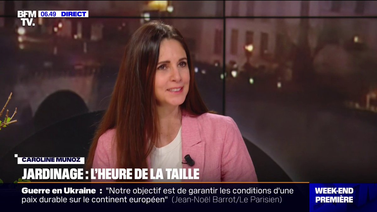 Jardinage: comment bien tailler ses arbustes ? Les conseils de Caroline Munoz