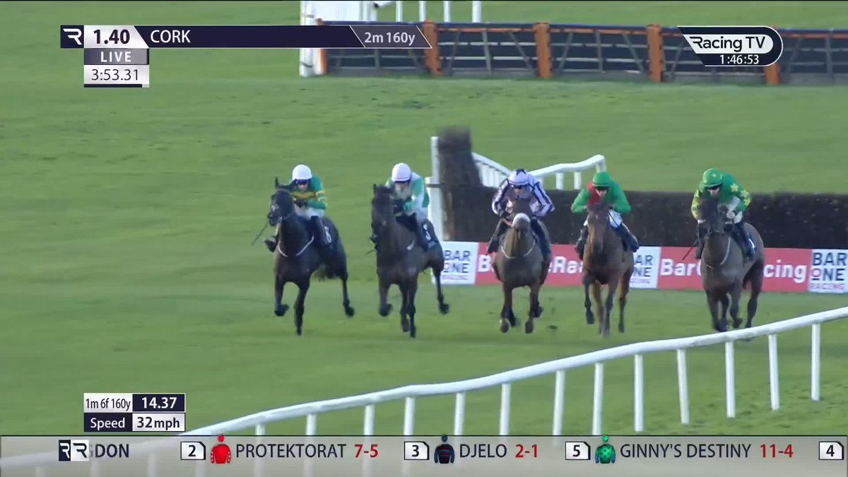 ✅ As things stand - ONLY BY NIGHT is declared to run in the Arkle. #CheltenhamFestival