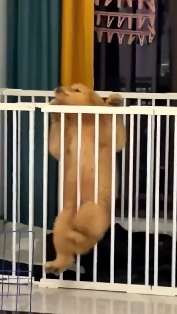 Aww so precious 🐕💘