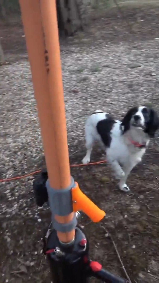 Dude is out here posting his huge W 🇺🇸 Nicely made potato gun launching a home made dog toy with a harmonica in it for his dog to fetch 🐶 #win #dog #dogs #harmonica