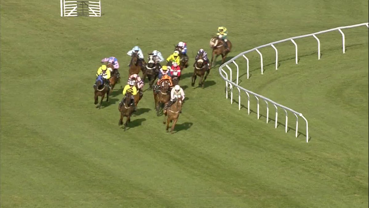 IT'S 10 YEARS SINCE THAT ANNIE POWER FALL 😱 Tomorrow see's another 4-timer for the same four races with 4 hot pot favourites.. Surely history doesn't repeat itself? 😬 🎬 Racing TV