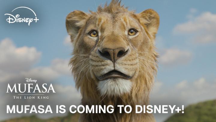 Let’s bring it home! #Mufasa: The Lion King is coming to Disney+ on March 26!