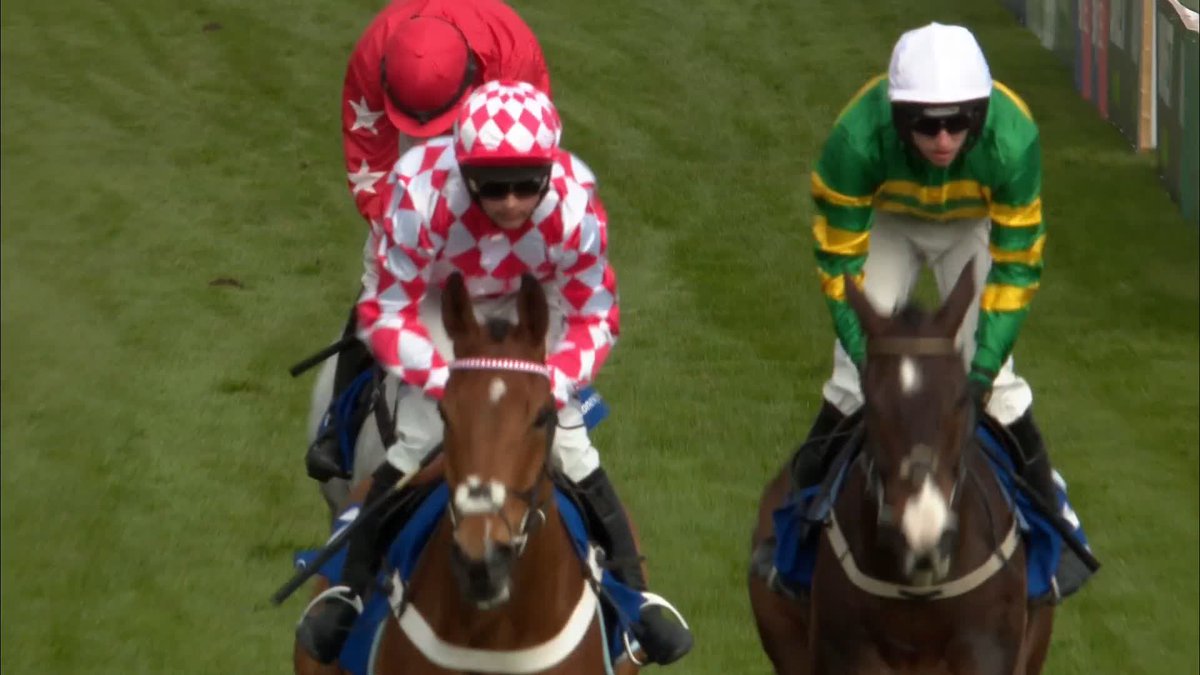 MAJBOROUGH throws it away and JANGO BAIE picks up the spoils for Nicky Henderson in the Arkle! THE 4 FOLD IS DOWN BOYS! #CheltenhamFestival 🏆