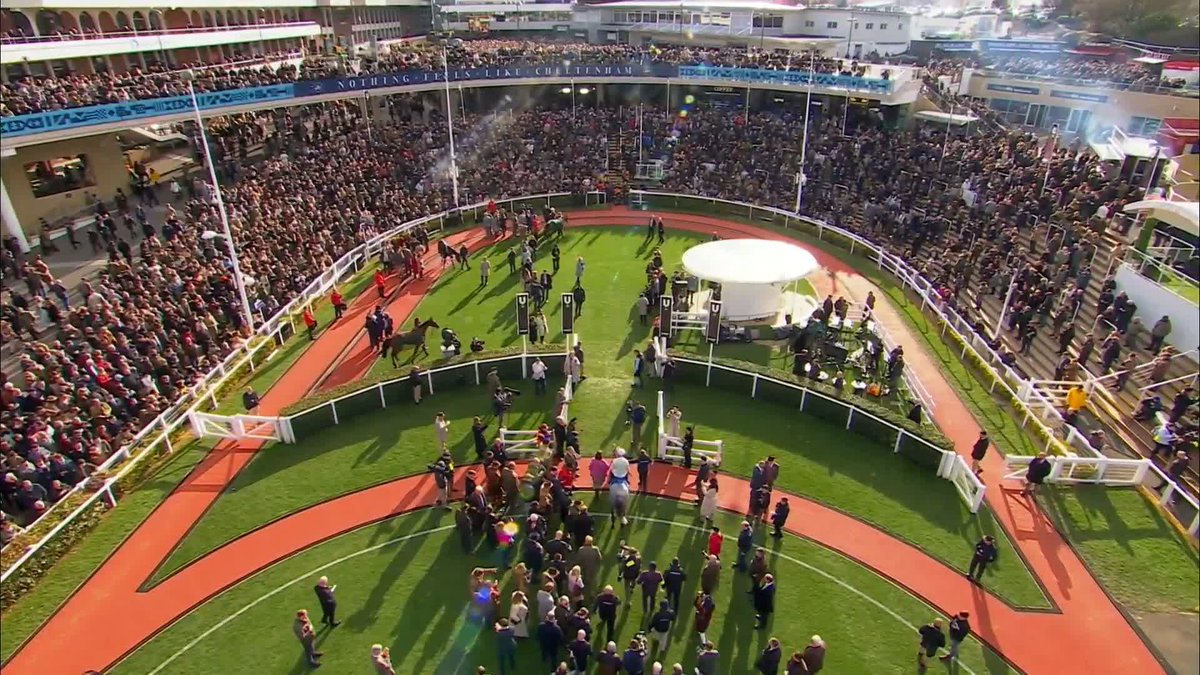 What a reception for Paul Townend and Lossiemouth 👏 #ITVRacing | #CheltenhamFestival | Paul Townend